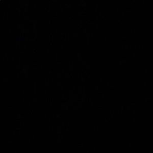 Meet your Posher, Joel